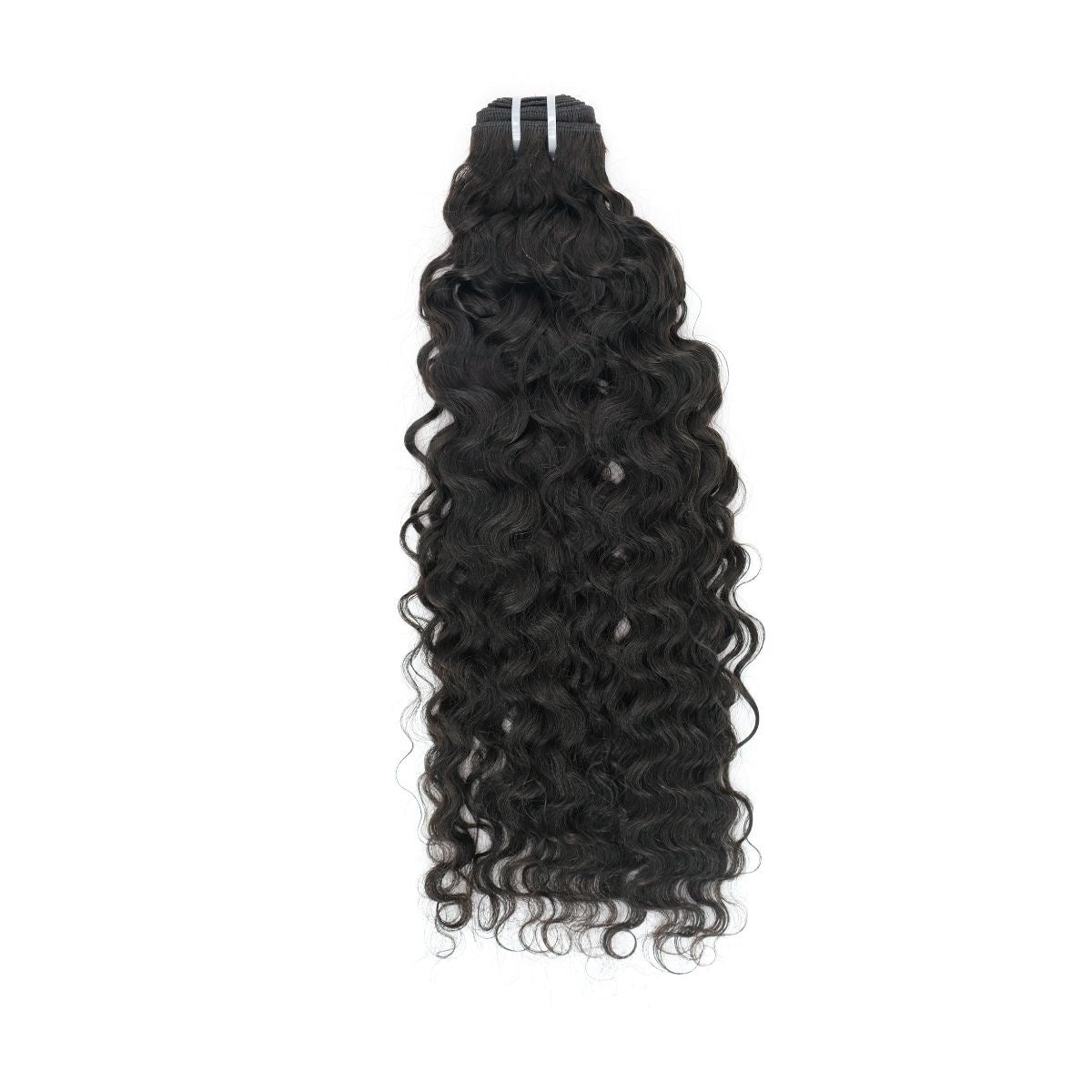 Burmese Curly Hair